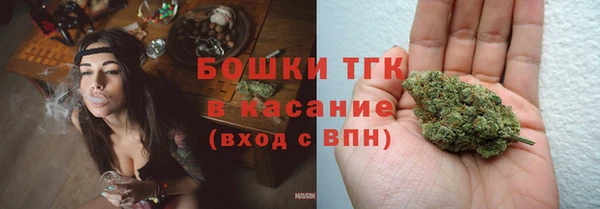 стафф Дмитров
