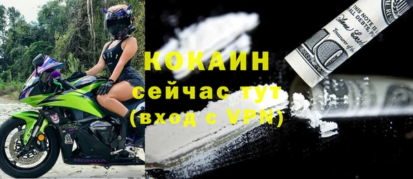 дживик Арсеньев