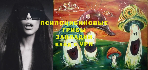 мет Аркадак
