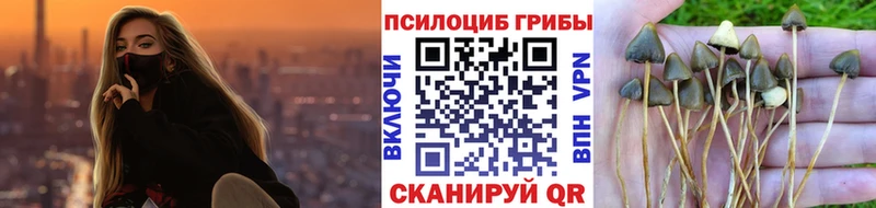 Галлюциногенные грибы Cubensis  где можно купить наркотик  Октябрьск 